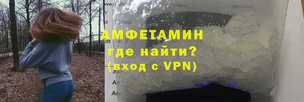гидра Няндома
