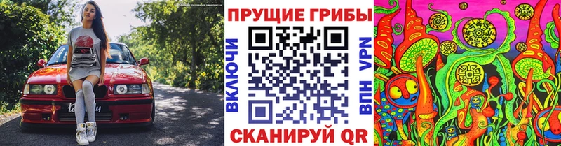 Галлюциногенные грибы MAGIC MUSHROOMS  Благовещенск 