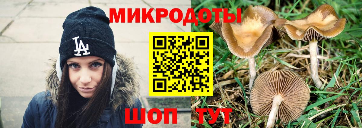 Галлюциногенные грибы GOLDEN TEACHER  Вход с VPN  Благовещенск 
